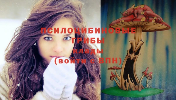 дживик Абинск
