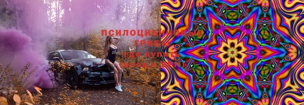 шишки Абдулино