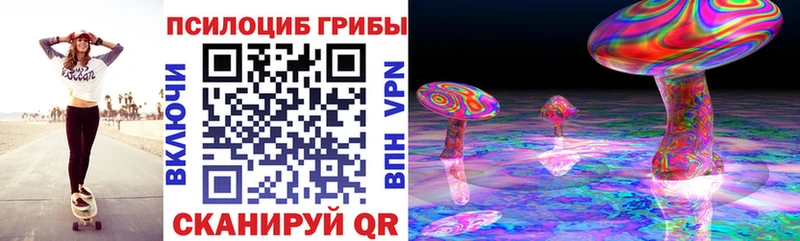 магазин продажи   Мамадыш  Псилоцибиновые грибы мухоморы 